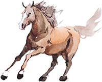 Running Horses